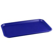 Поднос пласт. 32,5х52,5см, синий, полипропилен 422107817