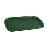 Поднос пласт. 30х42см, зеленый, полипропилен 422108909