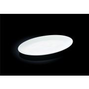 Wilmax (Англия) Блюдо овальное 255*170 мм. без полей Wilmax /6/24/