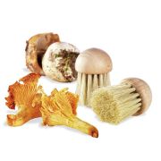 Tellier (Франция) Щетка для чистки грибов d=4 см. щетина h=3,5 см. деревянная Tellier /1/22/